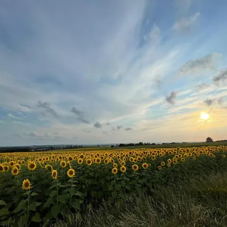 度假居 Charmante Maison En Pierre Avec Piscine Privee Chauffee - Fr-1-616-302 *
