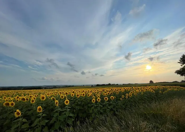 度假居 Charmante Maison En Pierre Avec Piscine Privee Chauffee - Fr-1-616-302 *